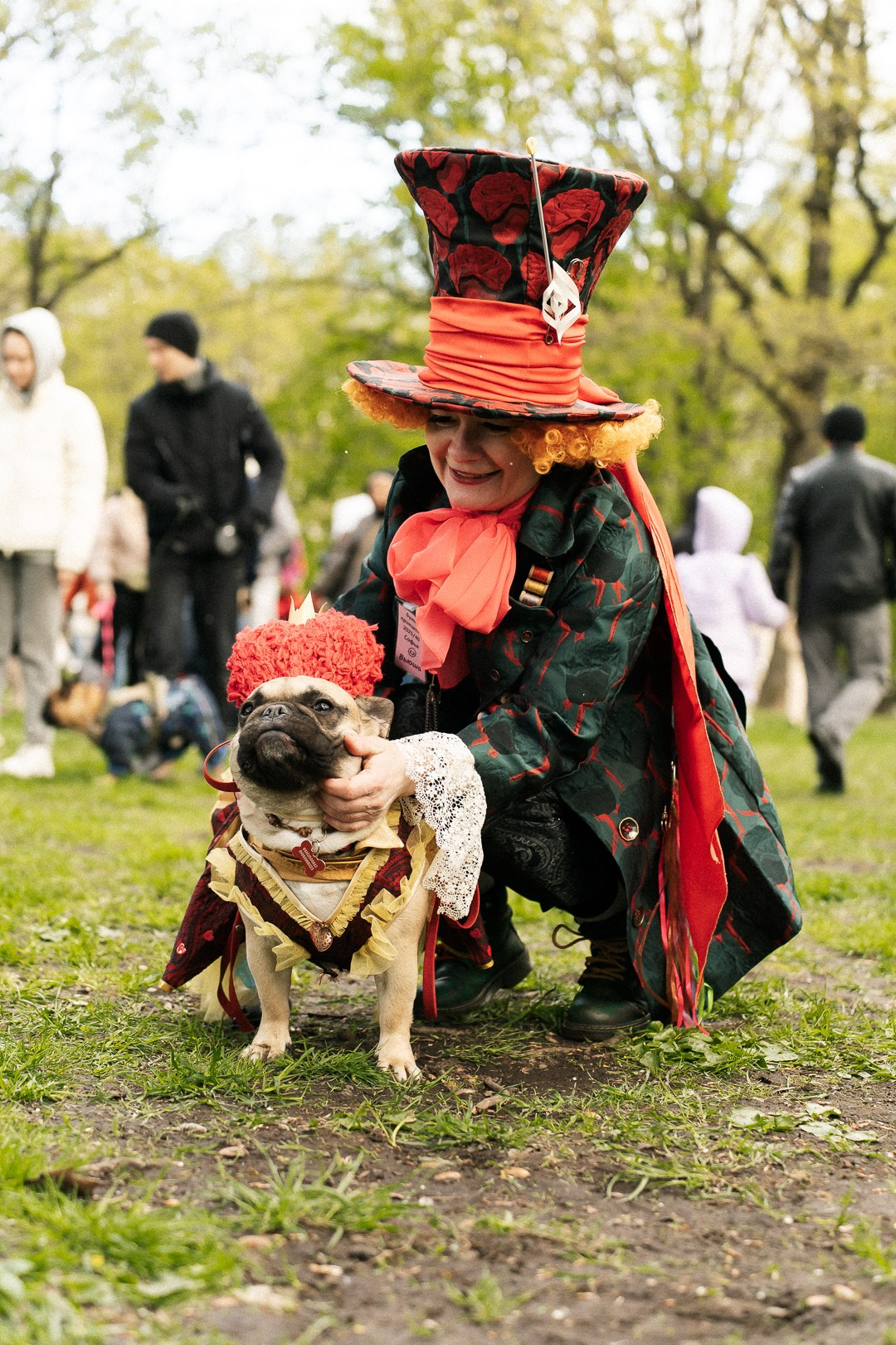 Парад Бульдогов. Axenov_eugene
