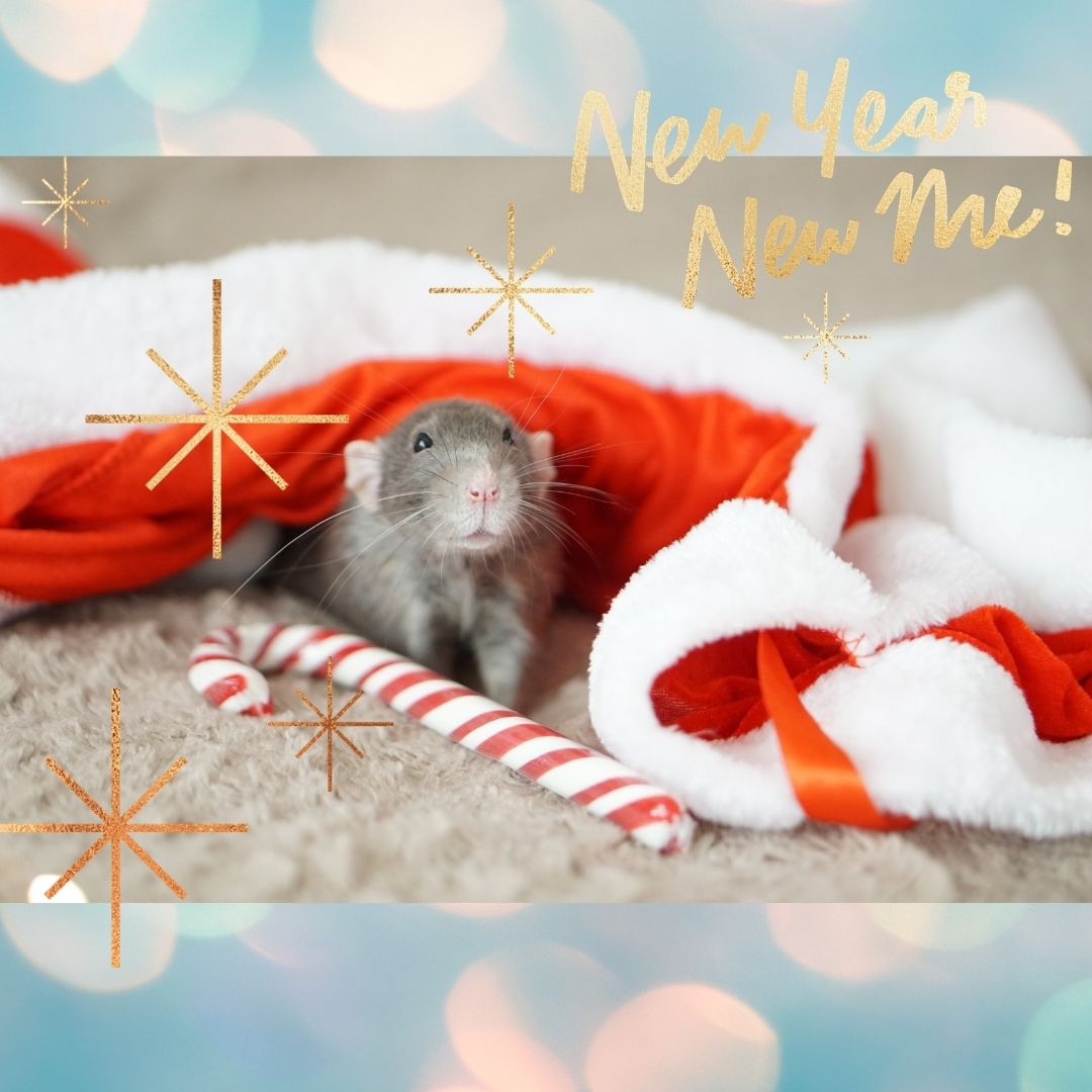 Happy New Year!. Семейный и детский фотограф в Хабаровске Анна Гриневич