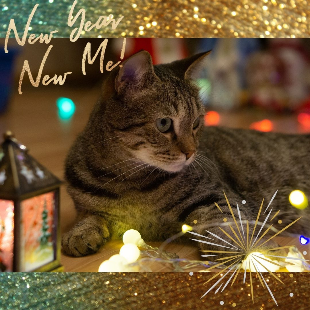 Happy New Year!. Семейный и детский фотограф в Хабаровске Анна Гриневич