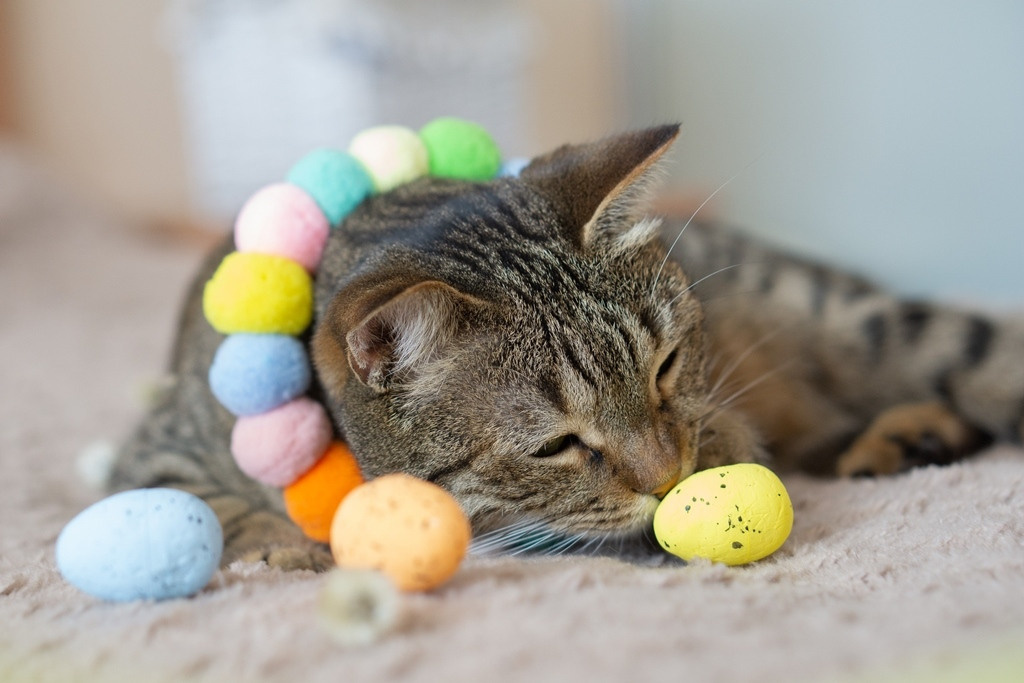 Пасхальные кролики. Семейный и детский фотограф в Хабаровске Анна Гриневич
