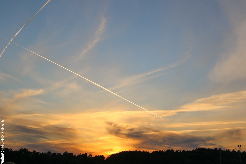 Фестиваль Дикая Мята. Репортажный и интерьерный фотограф Александра Солдатова