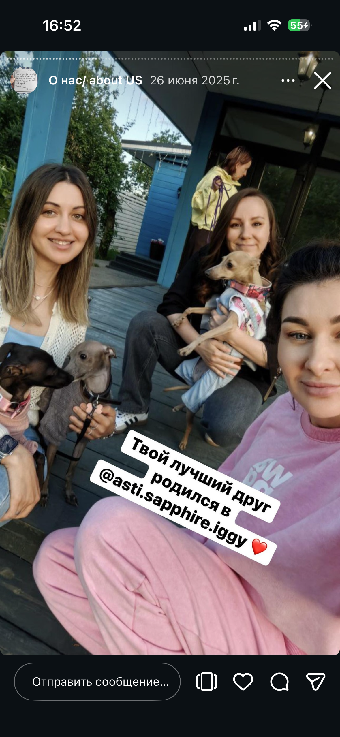 Отзывы от наших любимых владельцев. Профессиональный питомник левреток РКФ/FCI ASTI SAPPHIRE 💎 Сочи|Санкт-Петербург