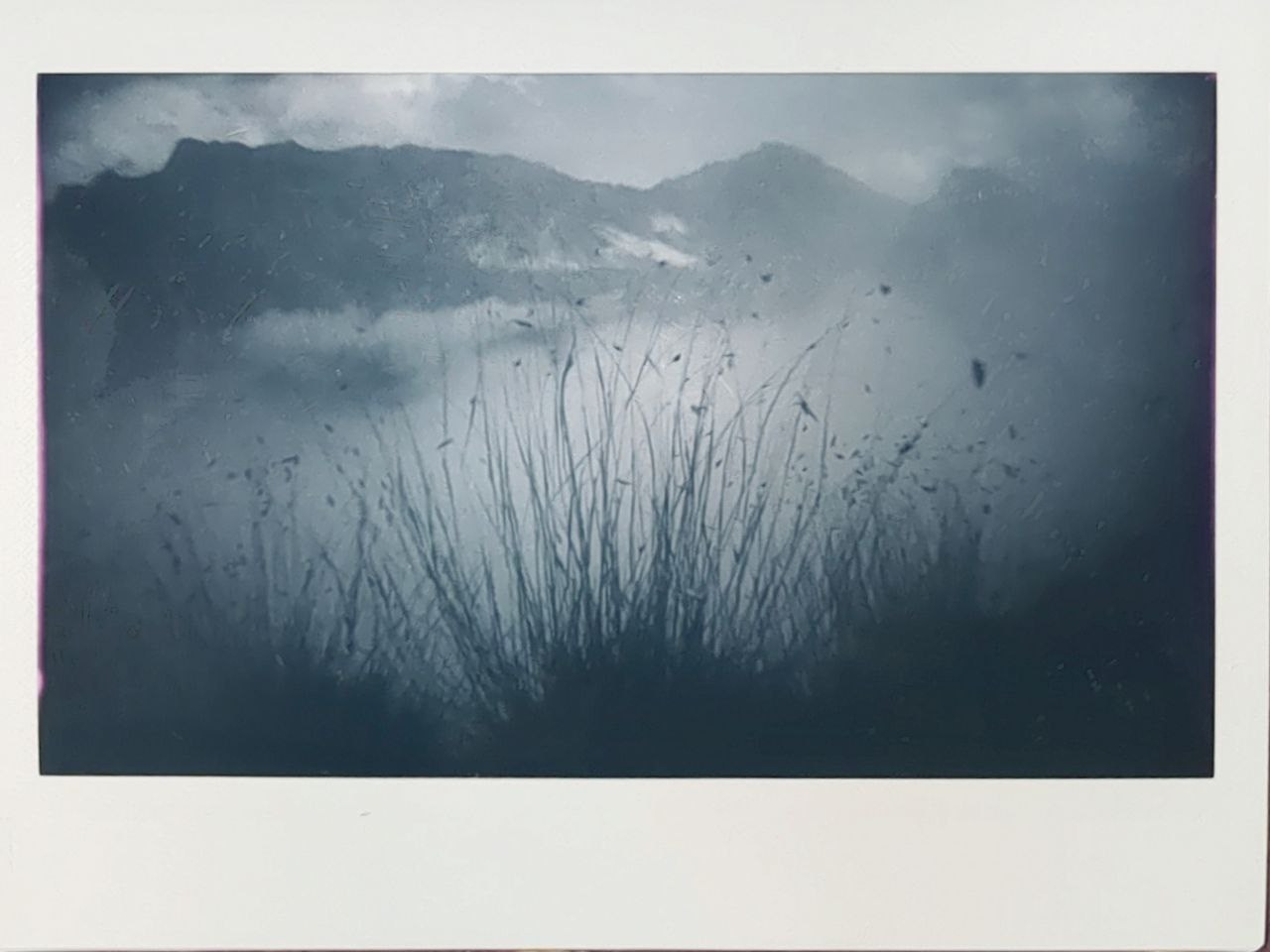 Polaroids. Ольга Лончакова, фотограф, режиссер