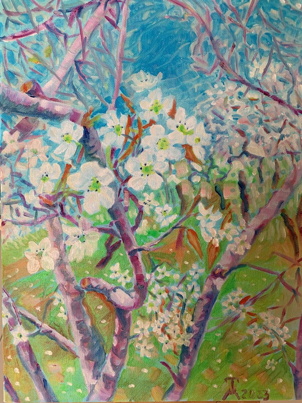 Apple garden 30/40 cm Oil on canvas 2023