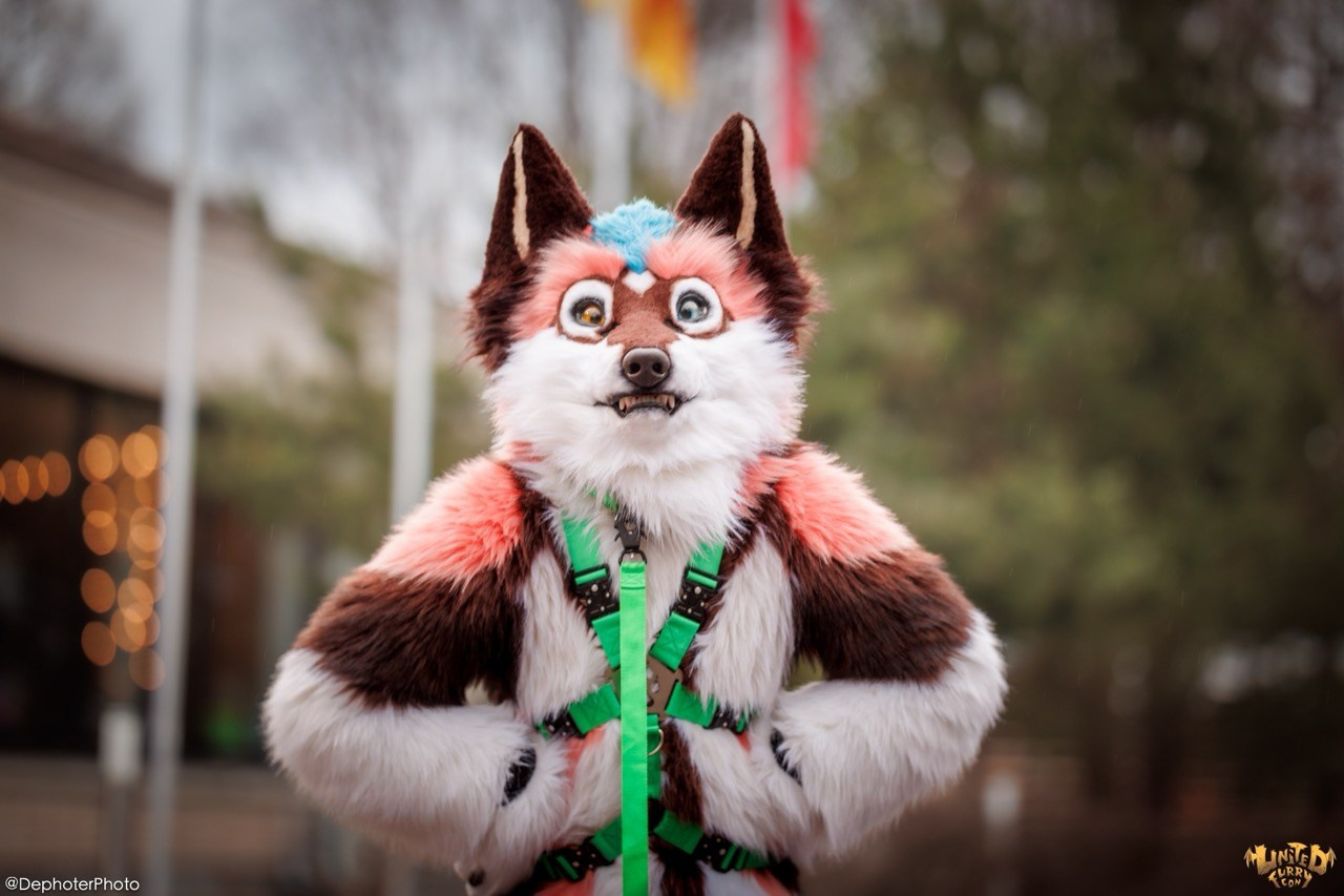 United Furry Convention 2026. Различные мероприятия и просто фотографии людей