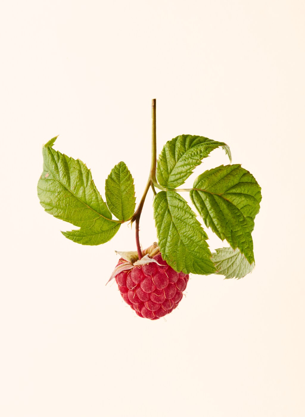 Food photographer. Евгений Петровский — Фуд-съемка и предметная съемка в Москве