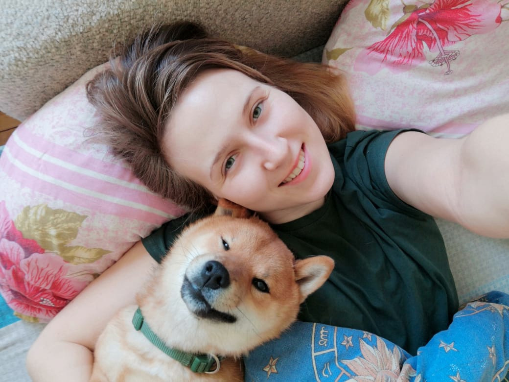 RUBYLIGHT DEXTER. AMERICAN AKITA RUBYLIGHT KENNEL I SHIBA-INU