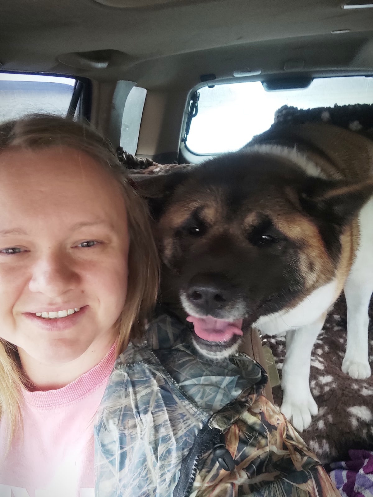 Американская акита питомник RUBYLIGHT. Американская акита I Сиба ину I Питомник RUBYLIGHT