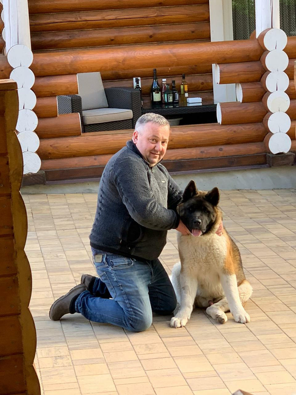 Американская акита питомник RUBYLIGHT. Американская акита I Сиба ину I Питомник RUBYLIGHT