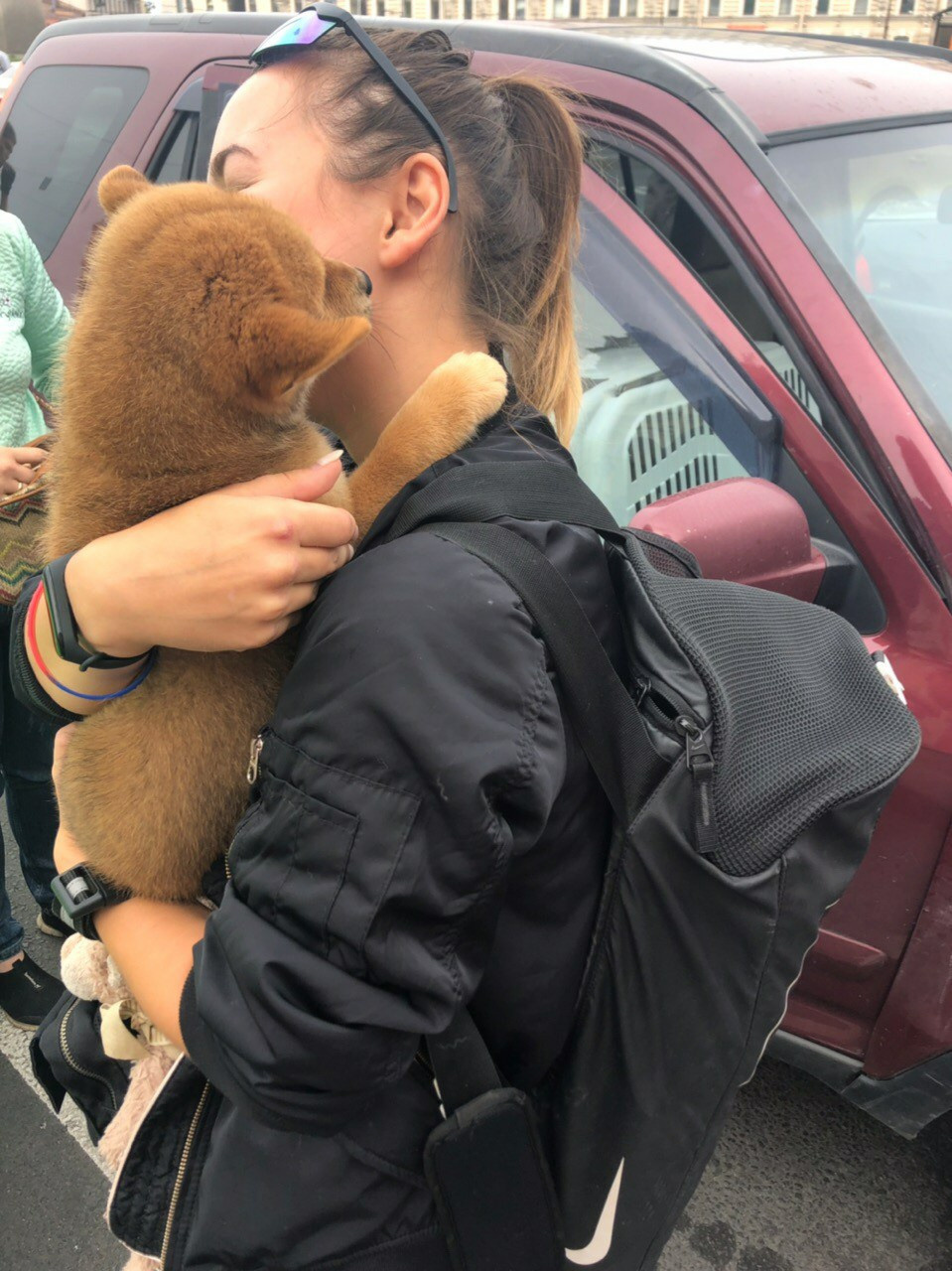 RUBYLIGHT DIN WINCHESTER. AMERICAN AKITA RUBYLIGHT KENNEL I SHIBA-INU