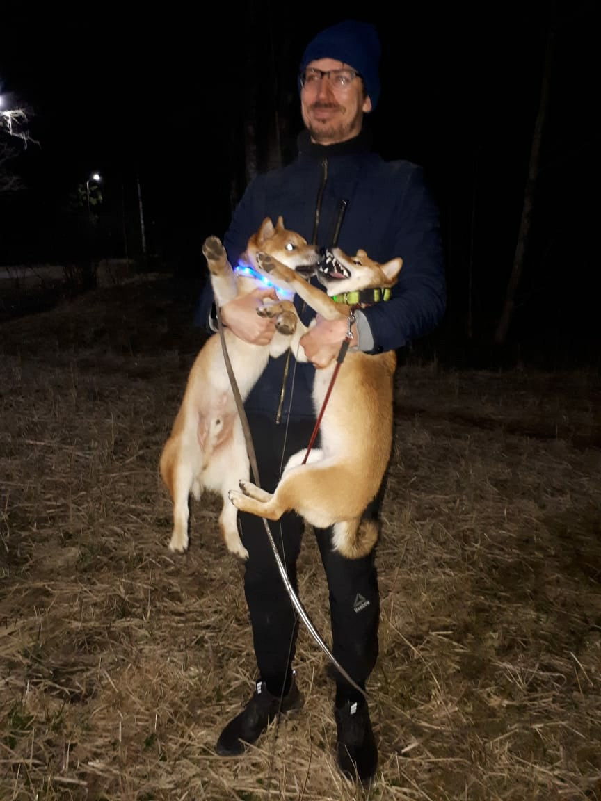 RUBYLIGHT DOLL * Долька (Отец: Хиро * HANDZIMEMESITE HIRO , Мать: Дэва * ZOLOTO PARTII DEVANA GODDESS OF HUNT) сиба