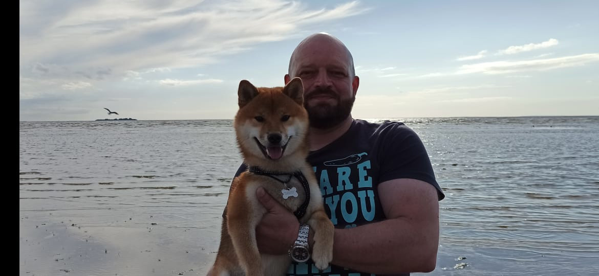 Сиба питомник RUBYLIGHT. Американская акита I Сиба ину I Питомник RUBYLIGHT