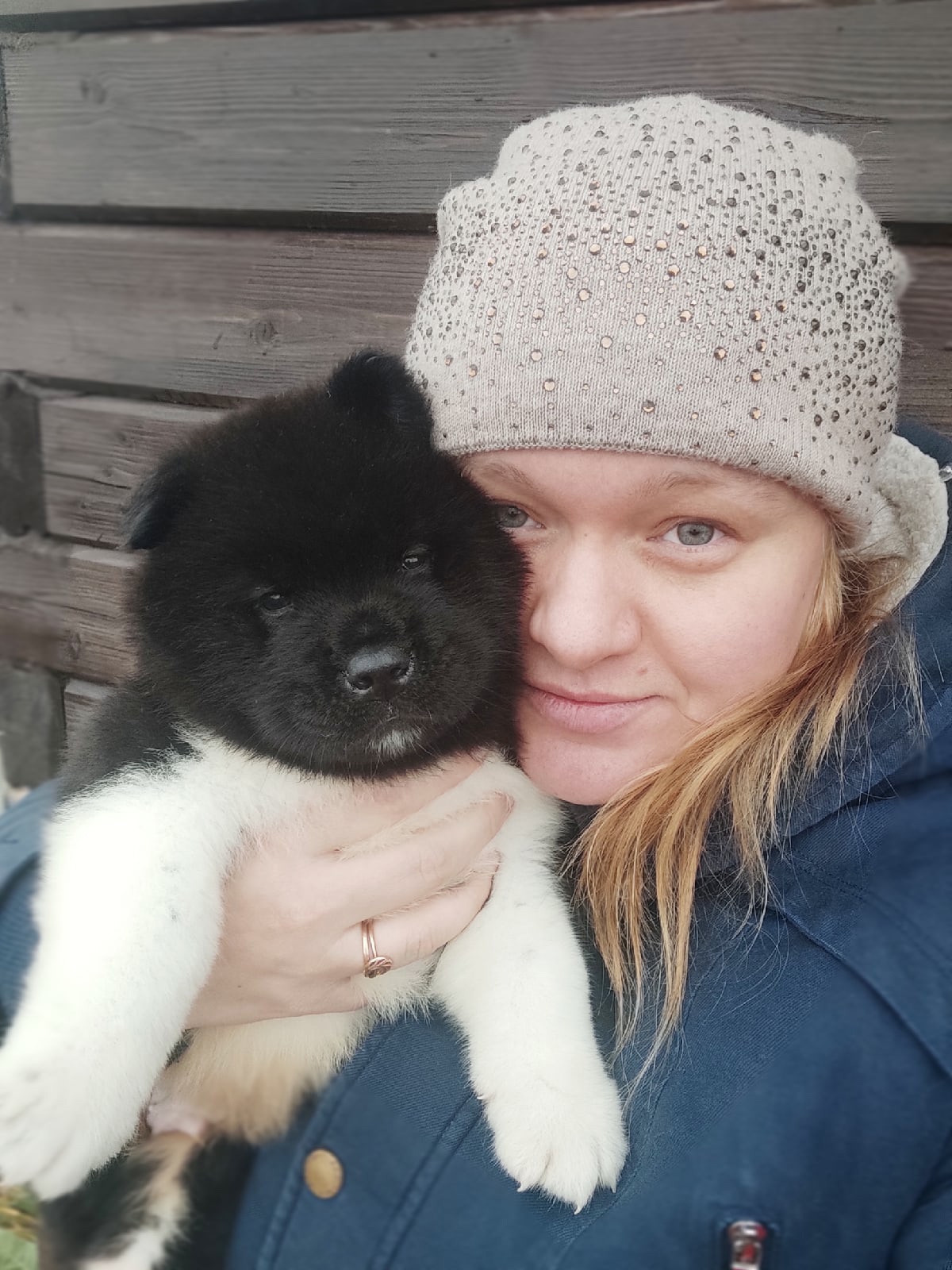 Rubylight Grom Американская акита питомник Рубилайт