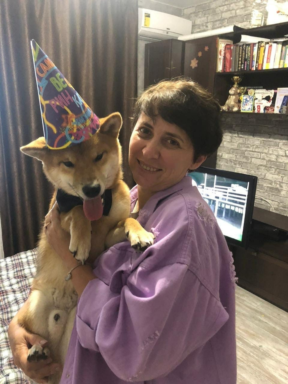 RUBYLIGHT DIN WINCHESTER. AMERICAN AKITA RUBYLIGHT KENNEL I SHIBA-INU