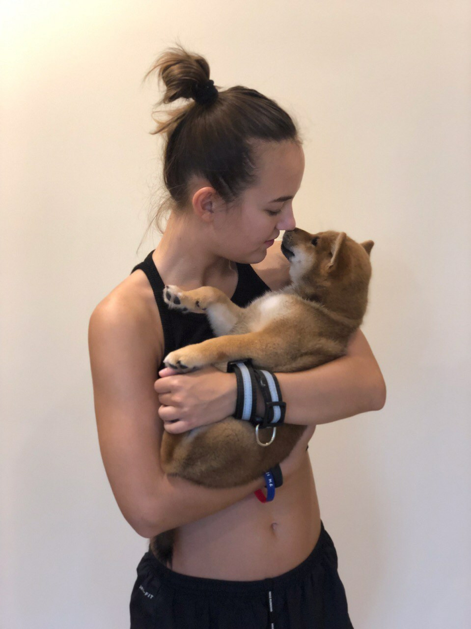 RUBYLIGHT DIN WINCHESTER. AMERICAN AKITA RUBYLIGHT KENNEL I SHIBA-INU