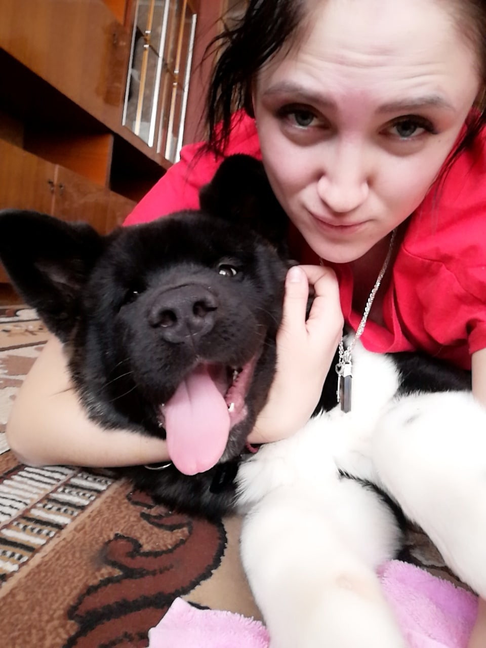 Rubylight Grom Американская акита питомник Рубилайт