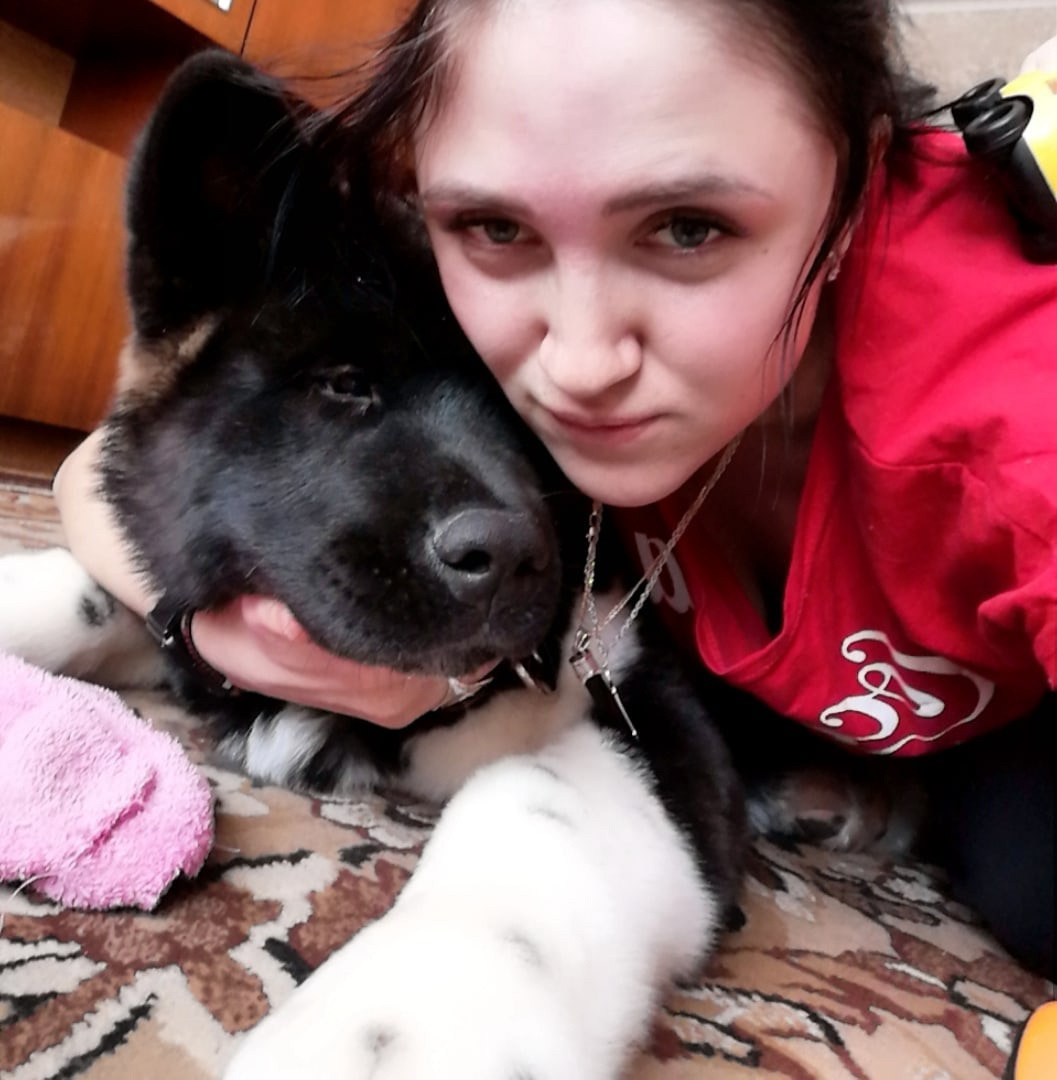 Rubylight Grom Американская акита питомник Рубилайт