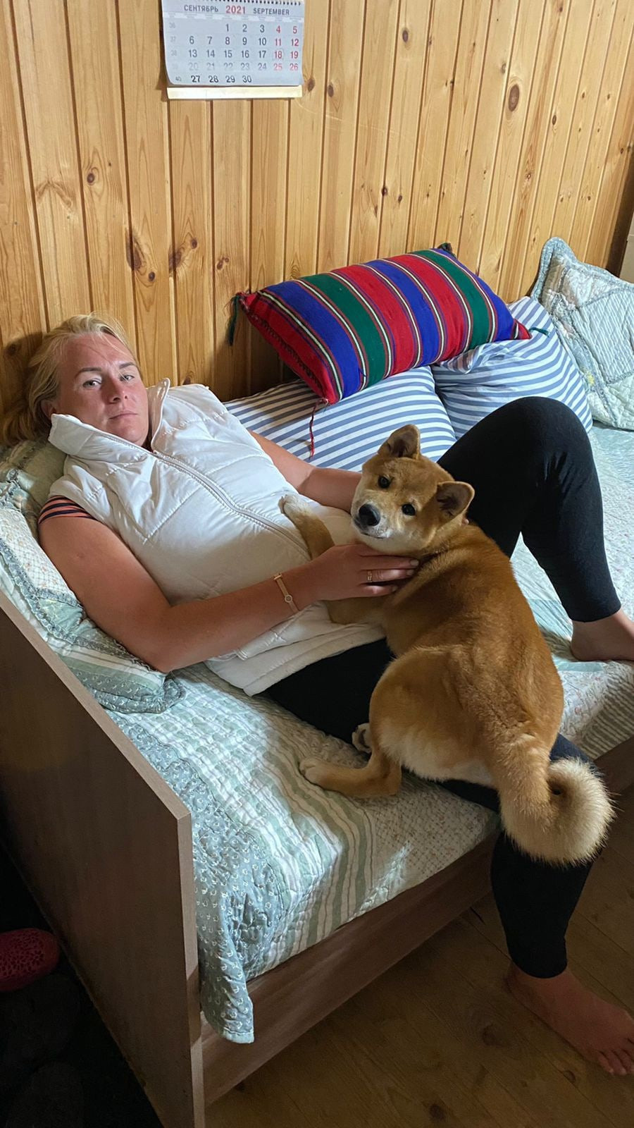 RUBYLIGHT IRON. AMERICAN AKITA RUBYLIGHT KENNEL I SHIBA-INU