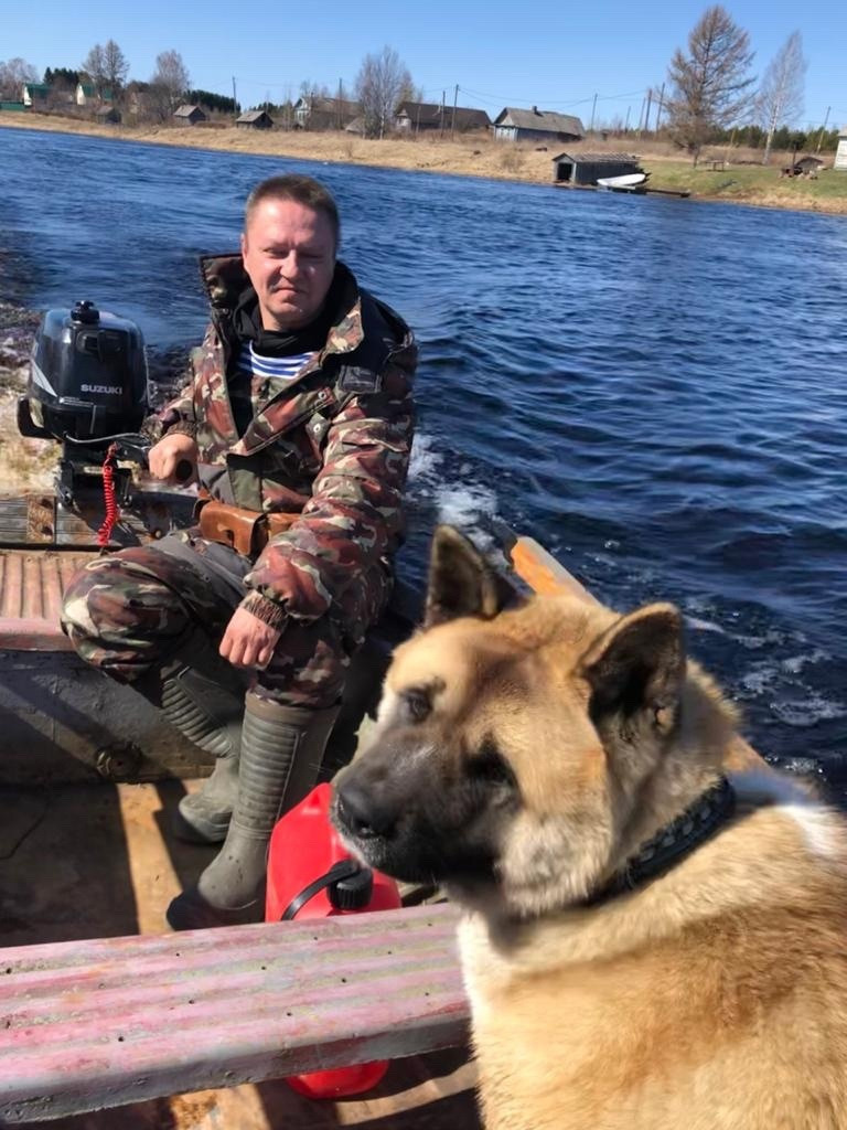 RUBYLIGHT BISHAMON * Тиль. AMERICAN AKITA RUBYLIGHT KENNEL I SHIBA-INU