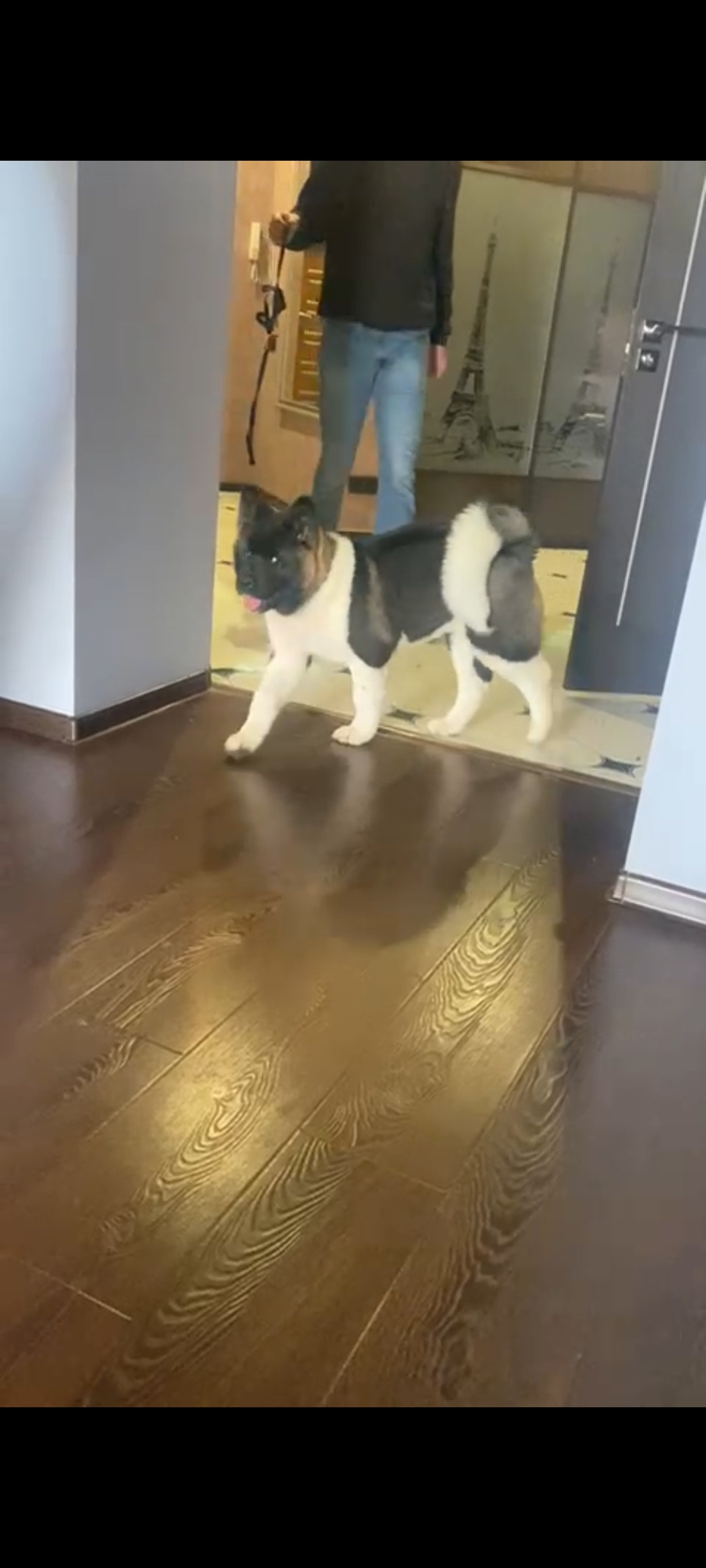 𝐑𝐔𝐁𝐘𝐋𝐈𝐆𝐇𝐓 𝐊𝐀𝐑𝐎𝐋𝐈𝐍𝐀 