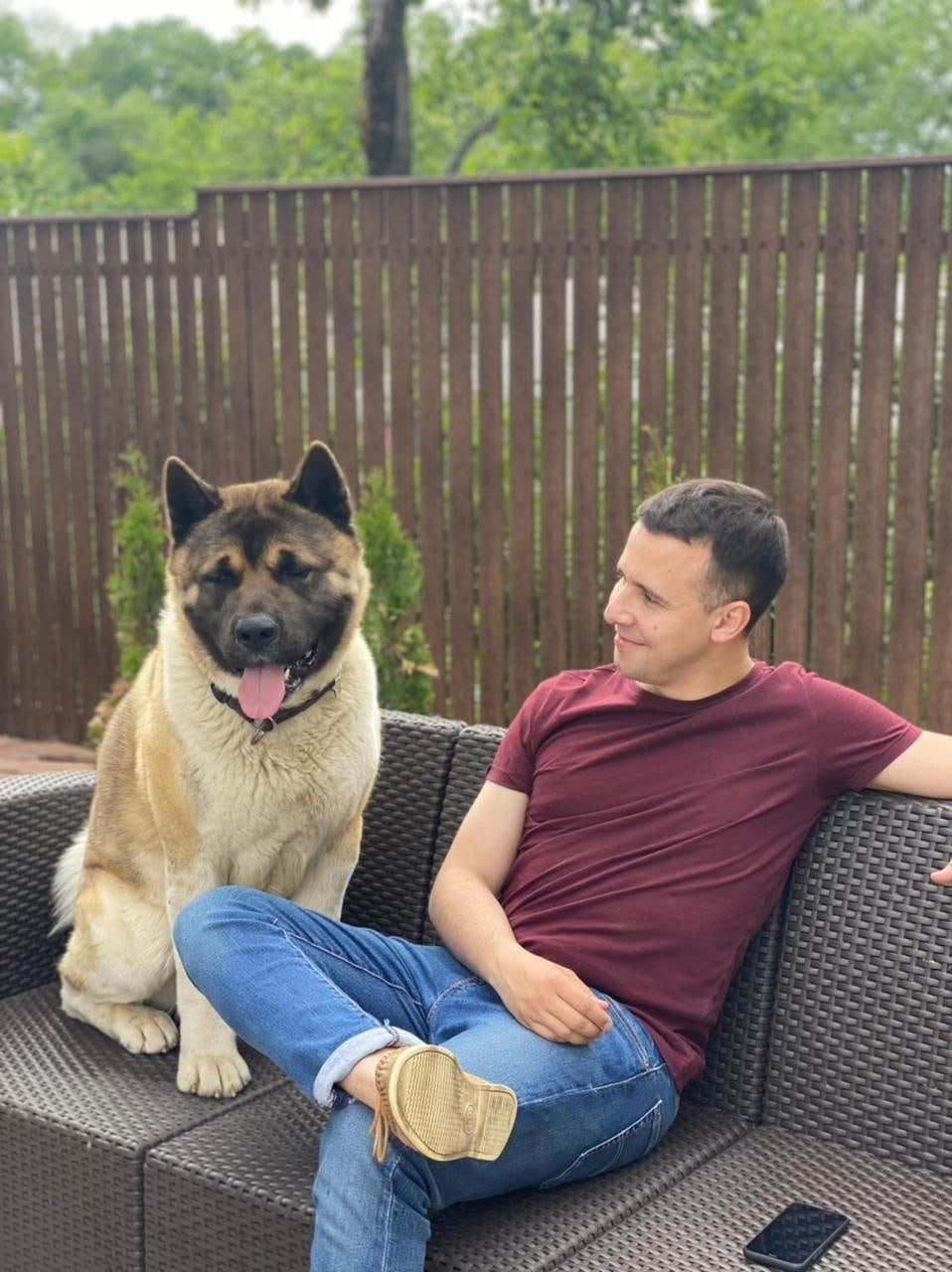 Американская акита питомник RUBYLIGHT. Американская акита I Сиба ину I Питомник RUBYLIGHT