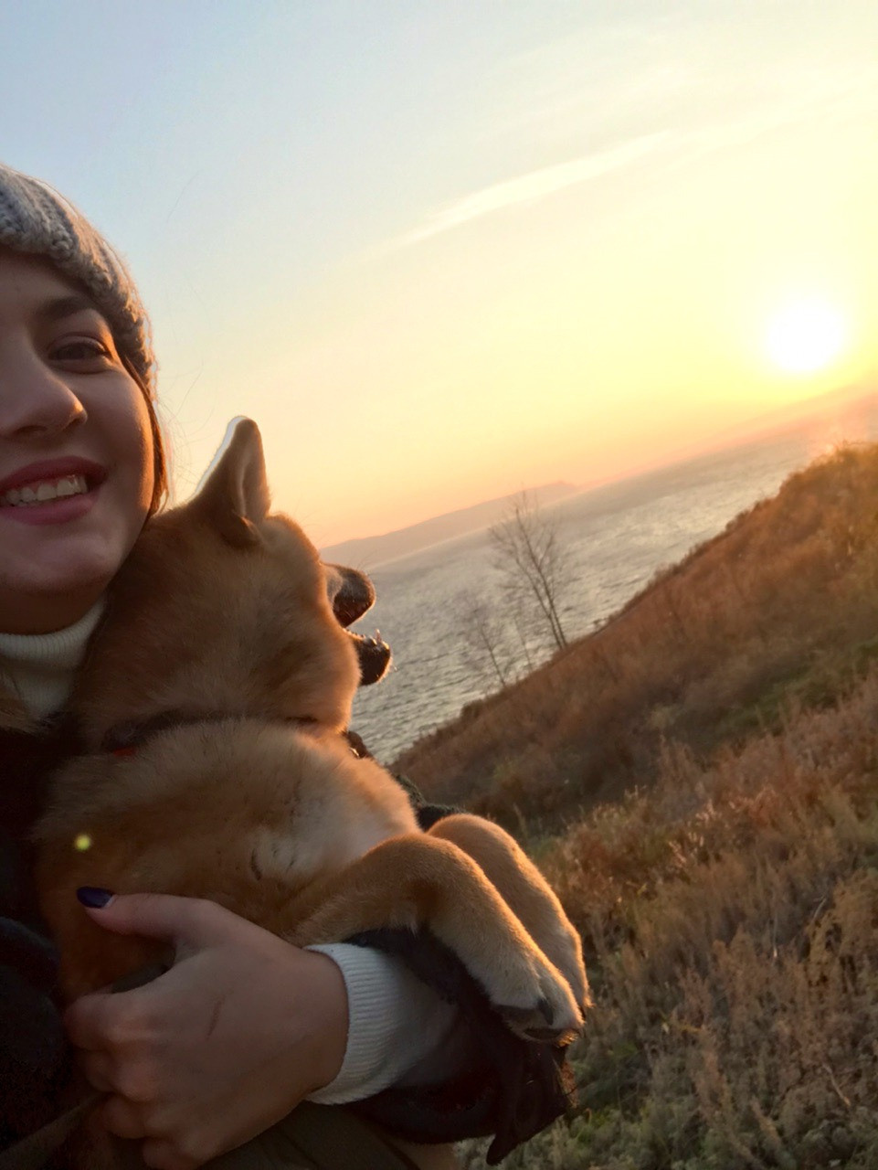 RUBYLIGHT DIN WINCHESTER. AMERICAN AKITA RUBYLIGHT KENNEL I SHIBA-INU