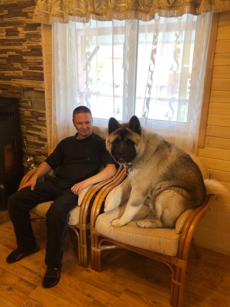 RUBYLIGHT BISHAMON * Тиль. AMERICAN AKITA RUBYLIGHT KENNEL I SHIBA-INU