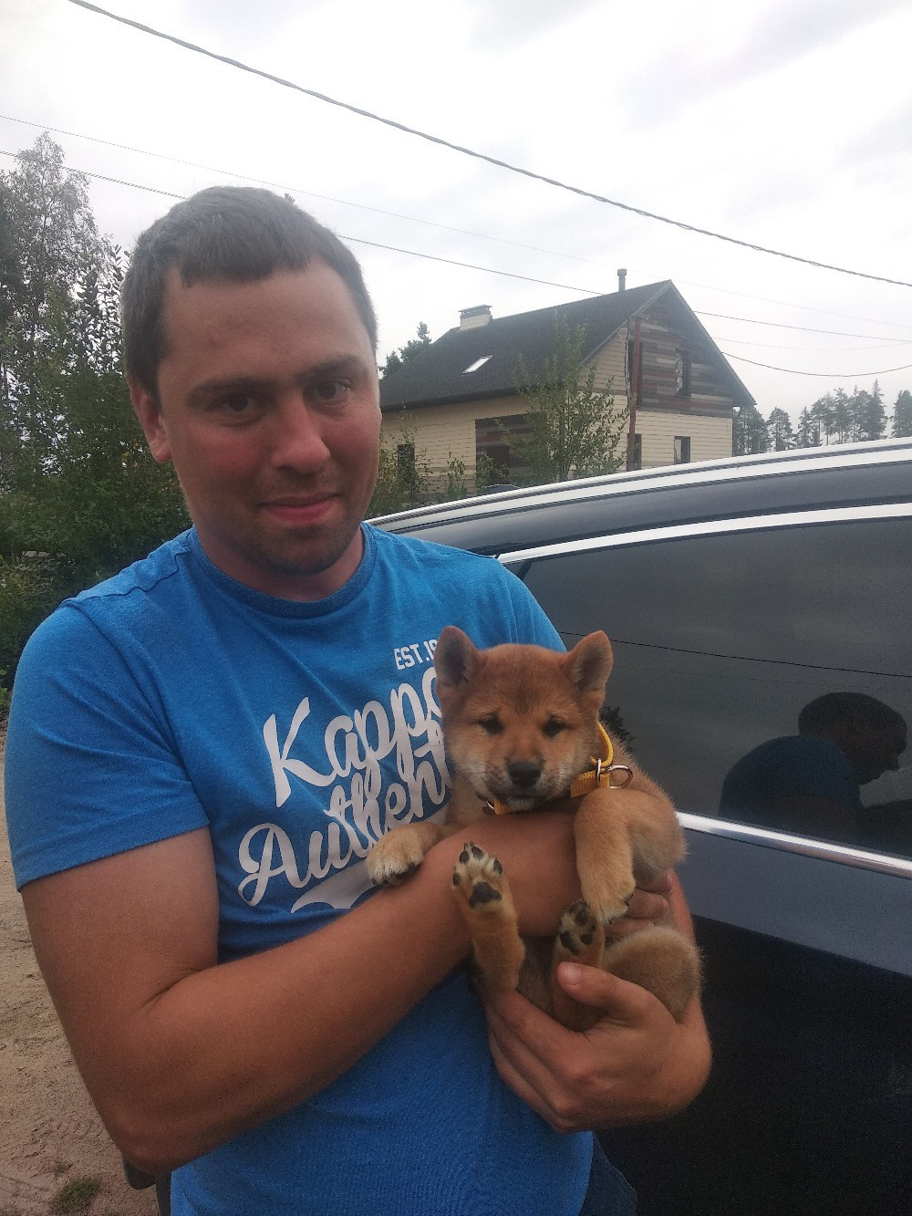 RUBYLIGHT DEXTER. AMERICAN AKITA RUBYLIGHT KENNEL I SHIBA-INU