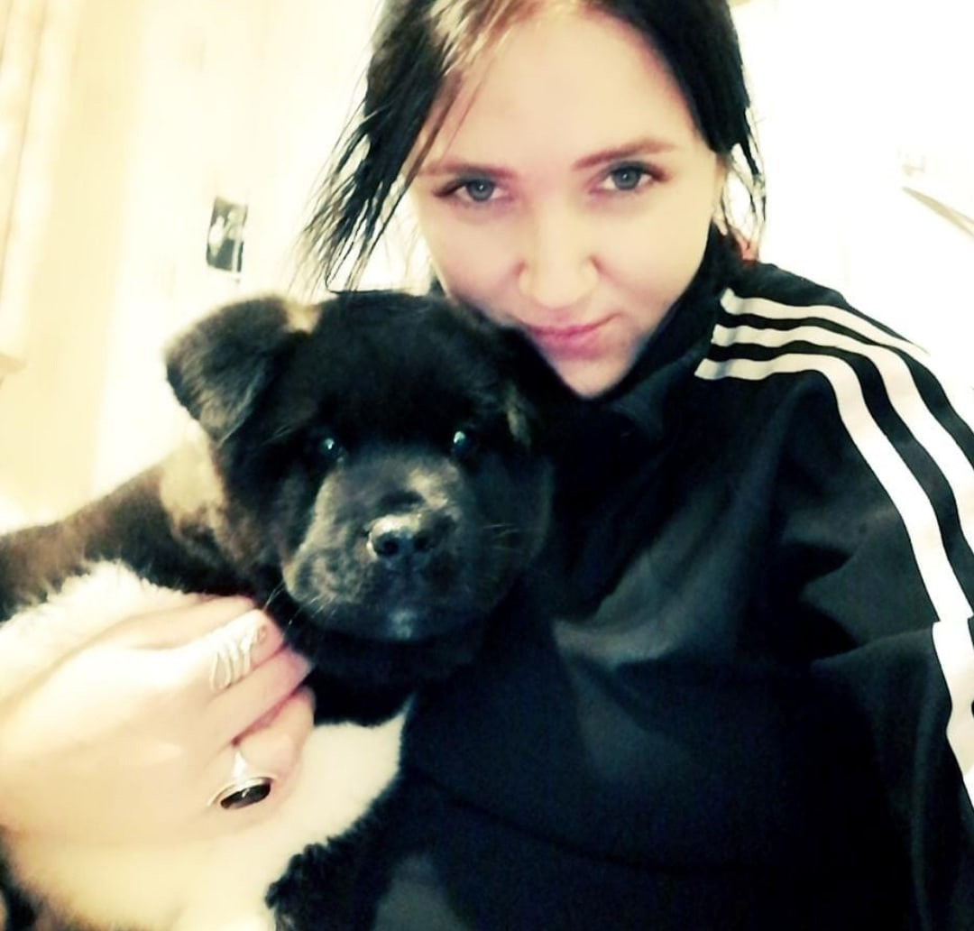 Rubylight Grom Американская акита питомник Рубилайт