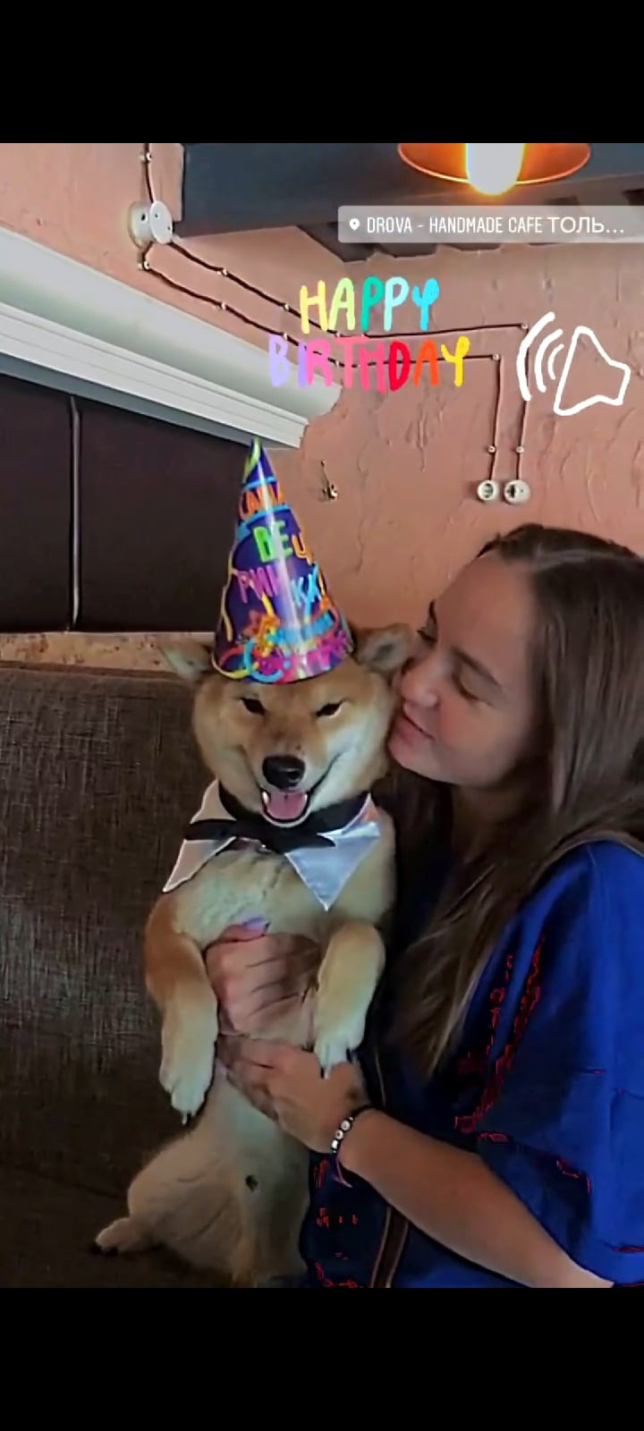 RUBYLIGHT DIN WINCHESTER. AMERICAN AKITA RUBYLIGHT KENNEL I SHIBA-INU