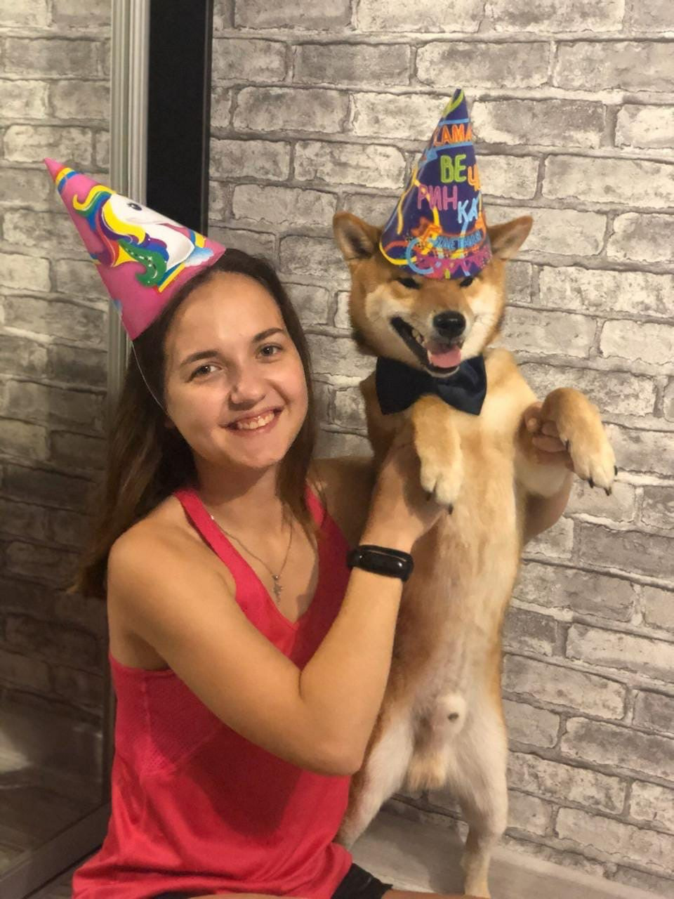 RUBYLIGHT DIN WINCHESTER. AMERICAN AKITA RUBYLIGHT KENNEL I SHIBA-INU