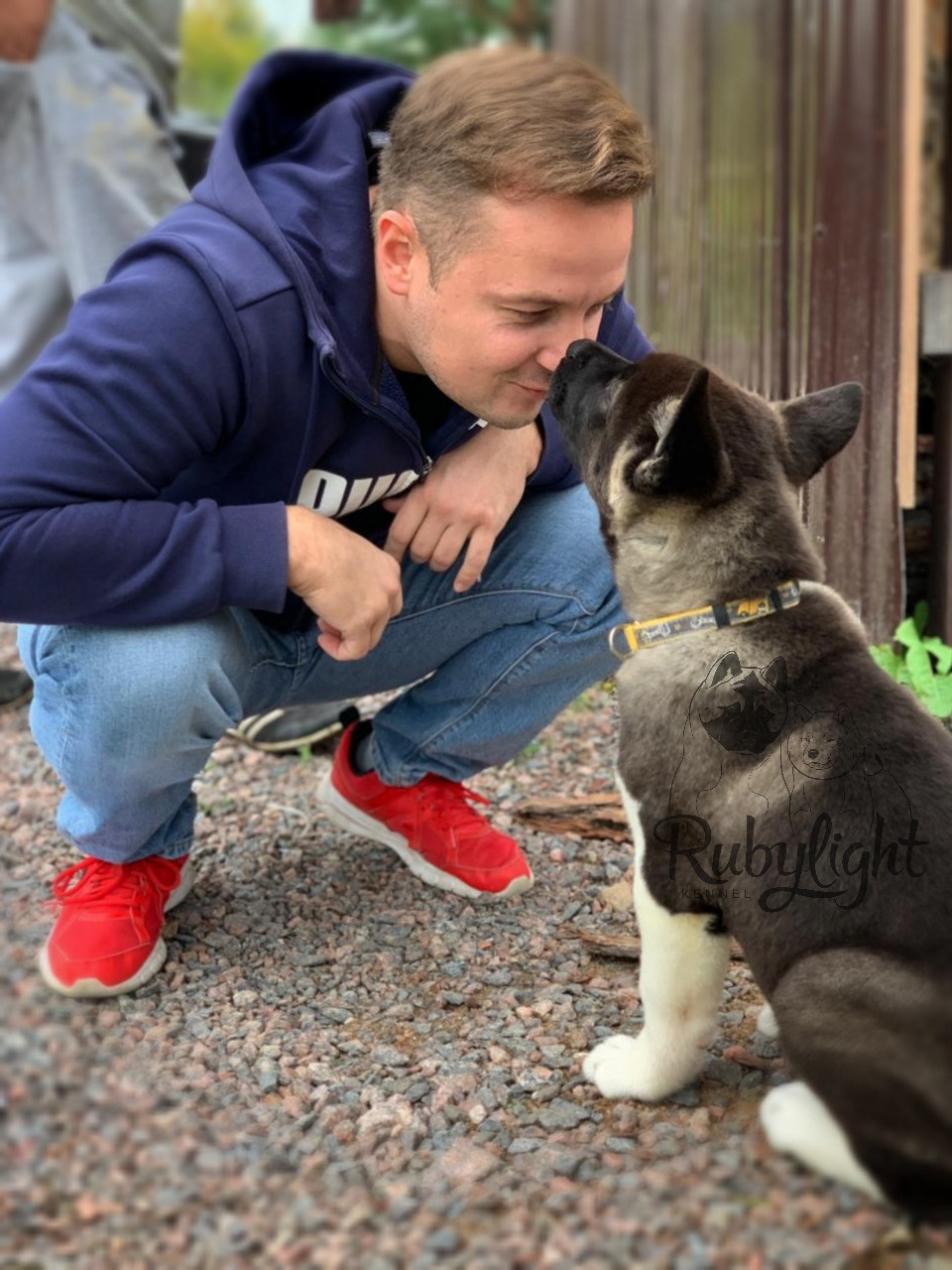 RUBYLIGHT Kamillus, дата рождения 09.06.2021Отец: Alter Real MercuryМать: Infinit Happy, Американская Акита RUBYLIGHT Санкт-Петербург