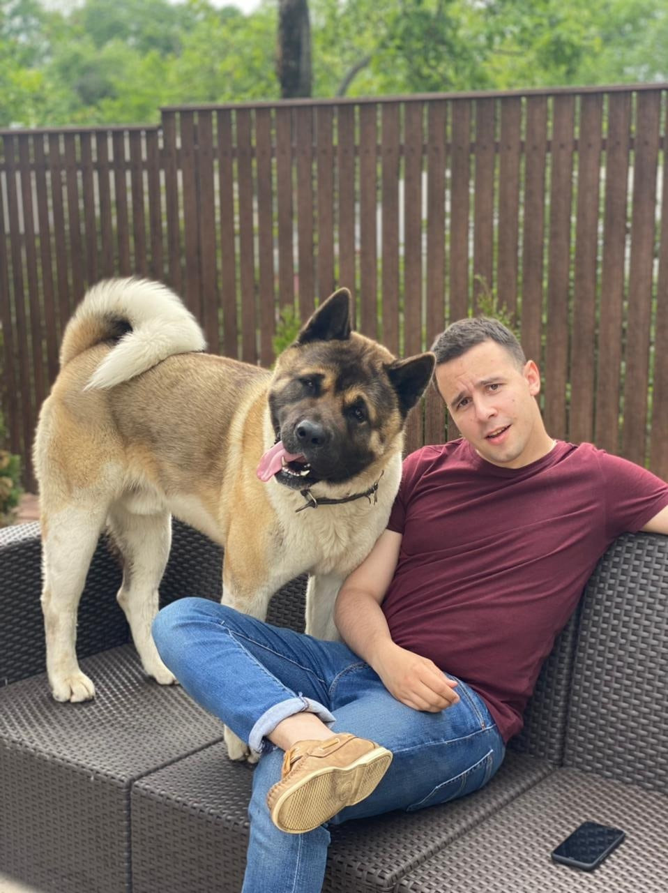 Американская акита питомник RUBYLIGHT. Американская акита I Сиба ину I Питомник RUBYLIGHT