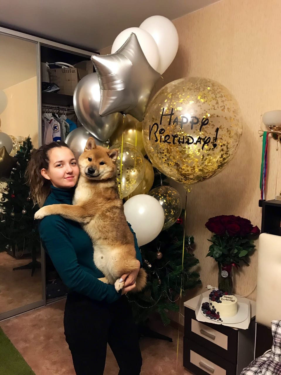 RUBYLIGHT DIN WINCHESTER. AMERICAN AKITA RUBYLIGHT KENNEL I SHIBA-INU