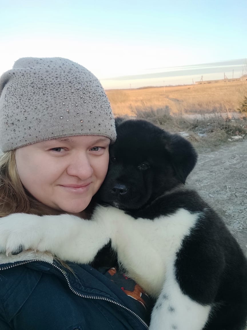 Rubylight Grom Американская акита питомник Рубилайт