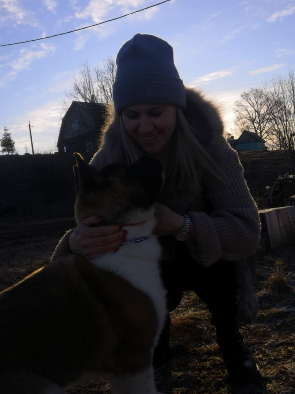 Американская акита питомник RUBYLIGHT. Американская акита I Сиба ину I Питомник RUBYLIGHT