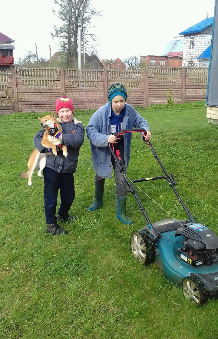 RUBYLIGHT DOLL * Долька (Отец: Хиро * HANDZIMEMESITE HIRO , Мать: Дэва * ZOLOTO PARTII DEVANA GODDESS OF HUNT) сиба