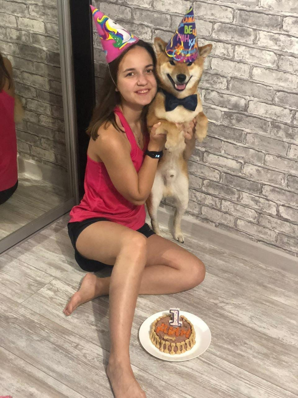 RUBYLIGHT DIN WINCHESTER. AMERICAN AKITA RUBYLIGHT KENNEL I SHIBA-INU