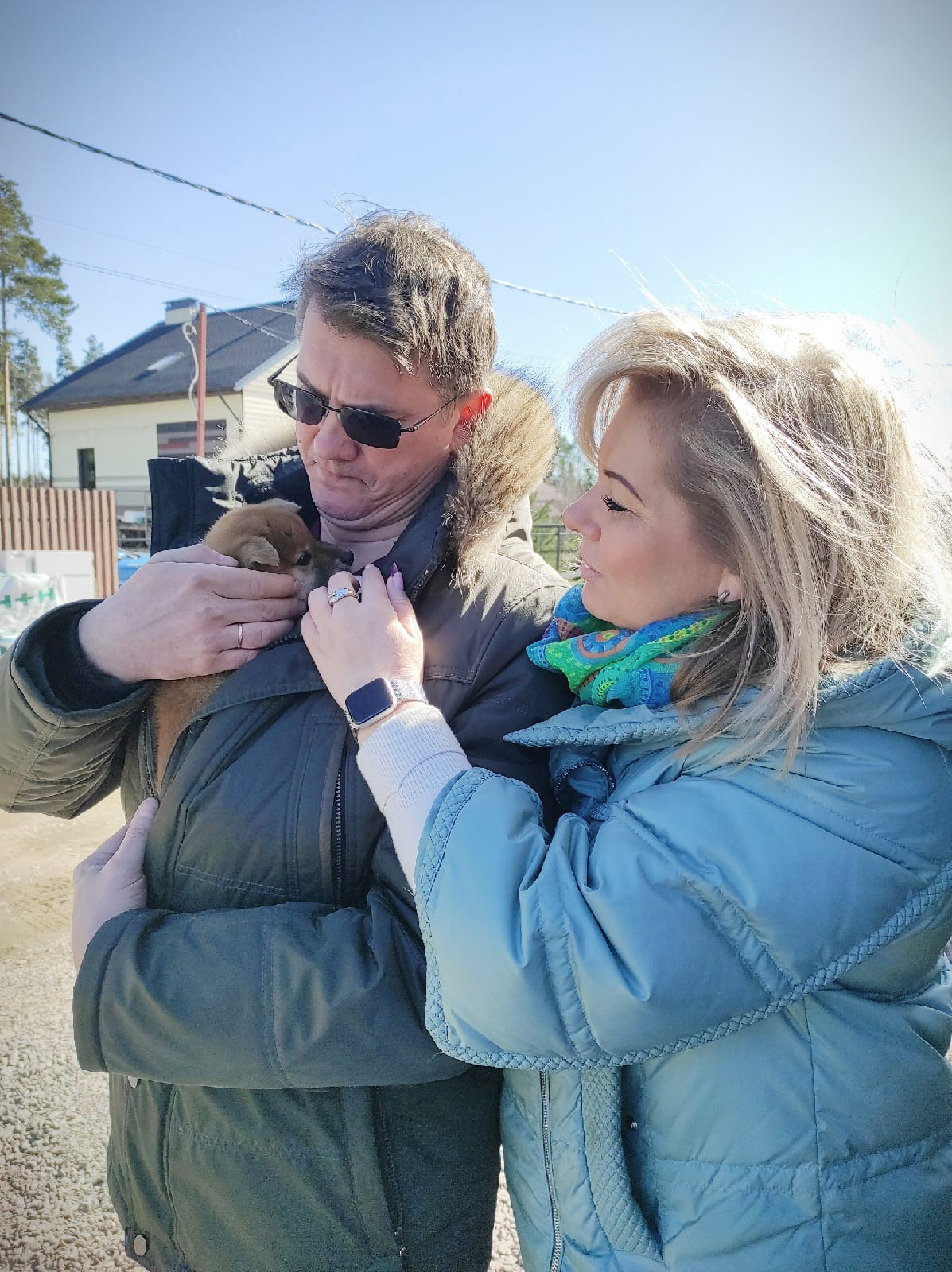 RUBYLIGHT IRON. AMERICAN AKITA RUBYLIGHT KENNEL I SHIBA-INU