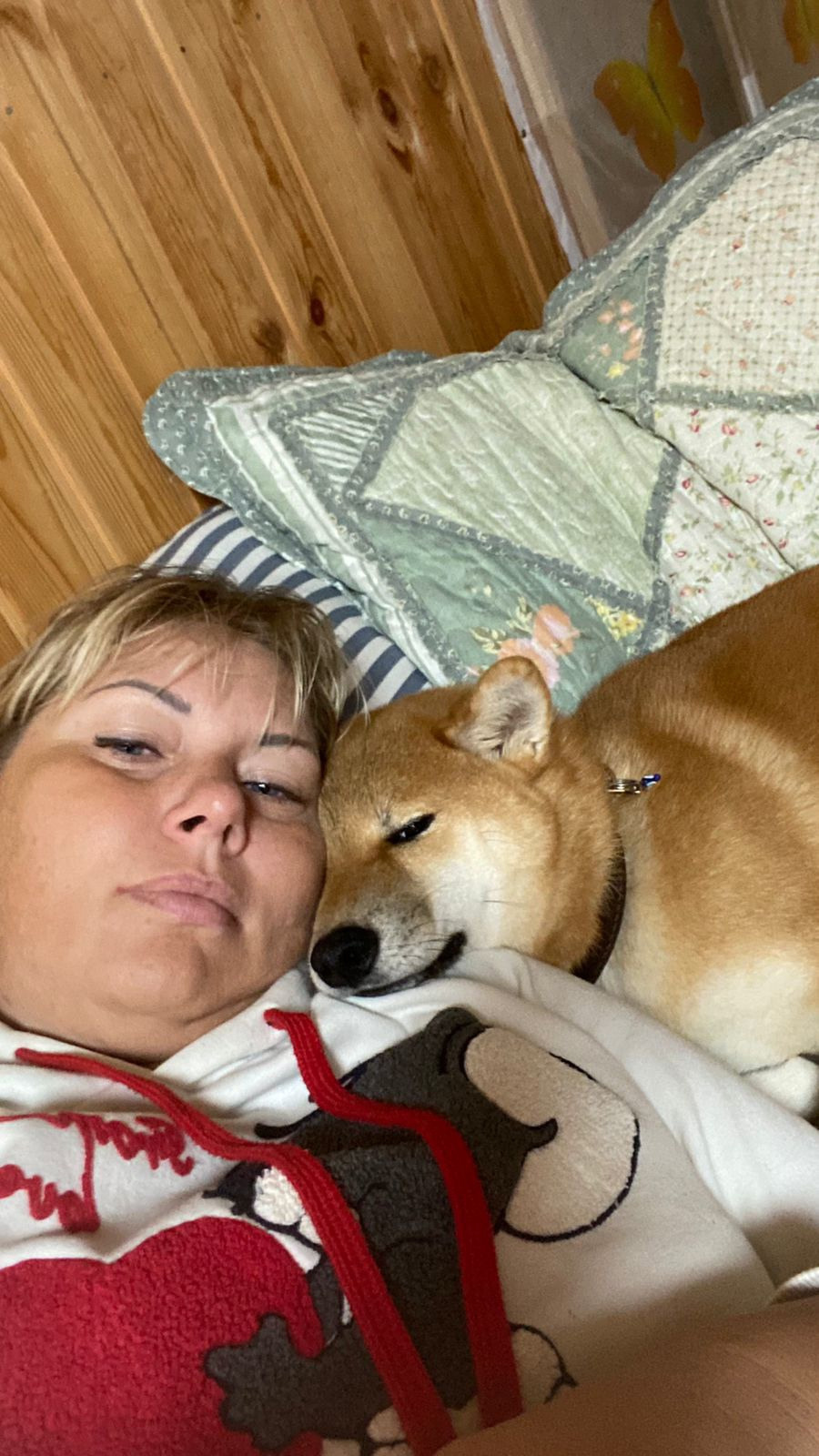 RUBYLIGHT IRON. AMERICAN AKITA RUBYLIGHT KENNEL I SHIBA-INU