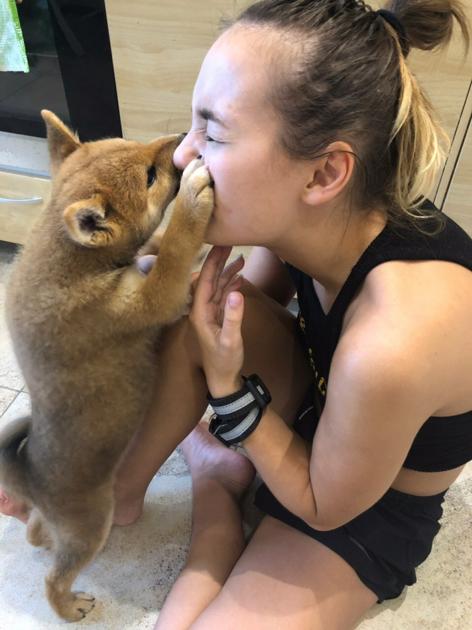 RUBYLIGHT DIN WINCHESTER. AMERICAN AKITA RUBYLIGHT KENNEL I SHIBA-INU