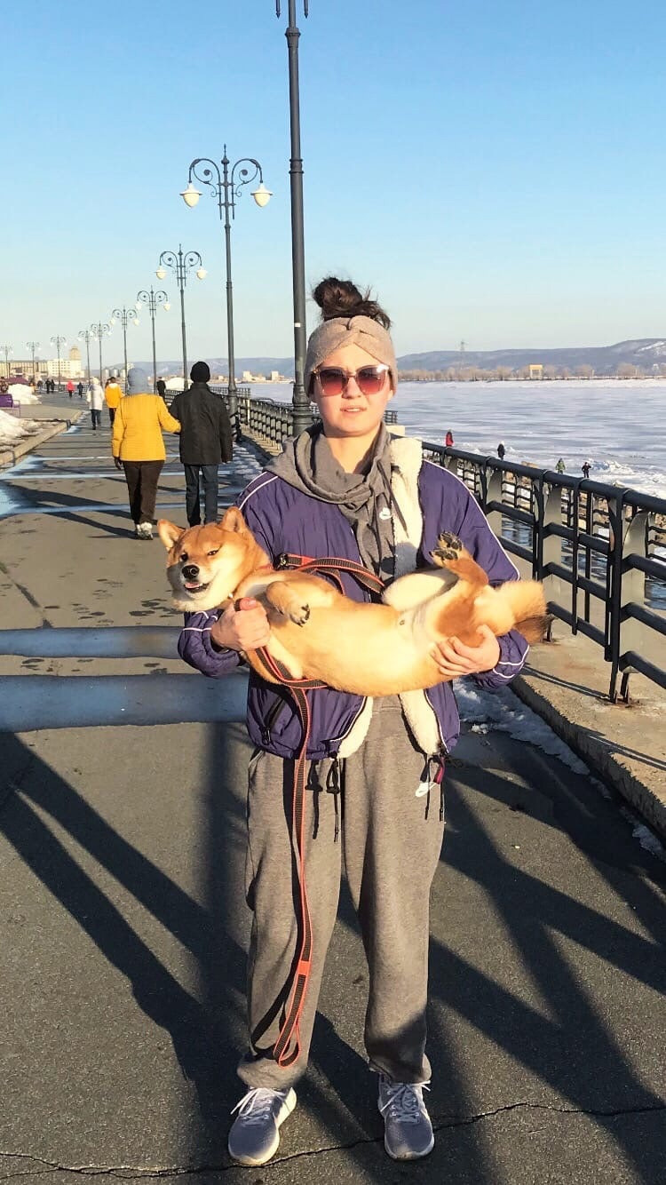 RUBYLIGHT DIN WINCHESTER. AMERICAN AKITA RUBYLIGHT KENNEL I SHIBA-INU