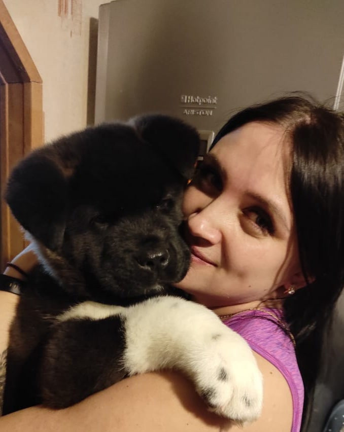 Rubylight Grom Американская акита питомник Рубилайт