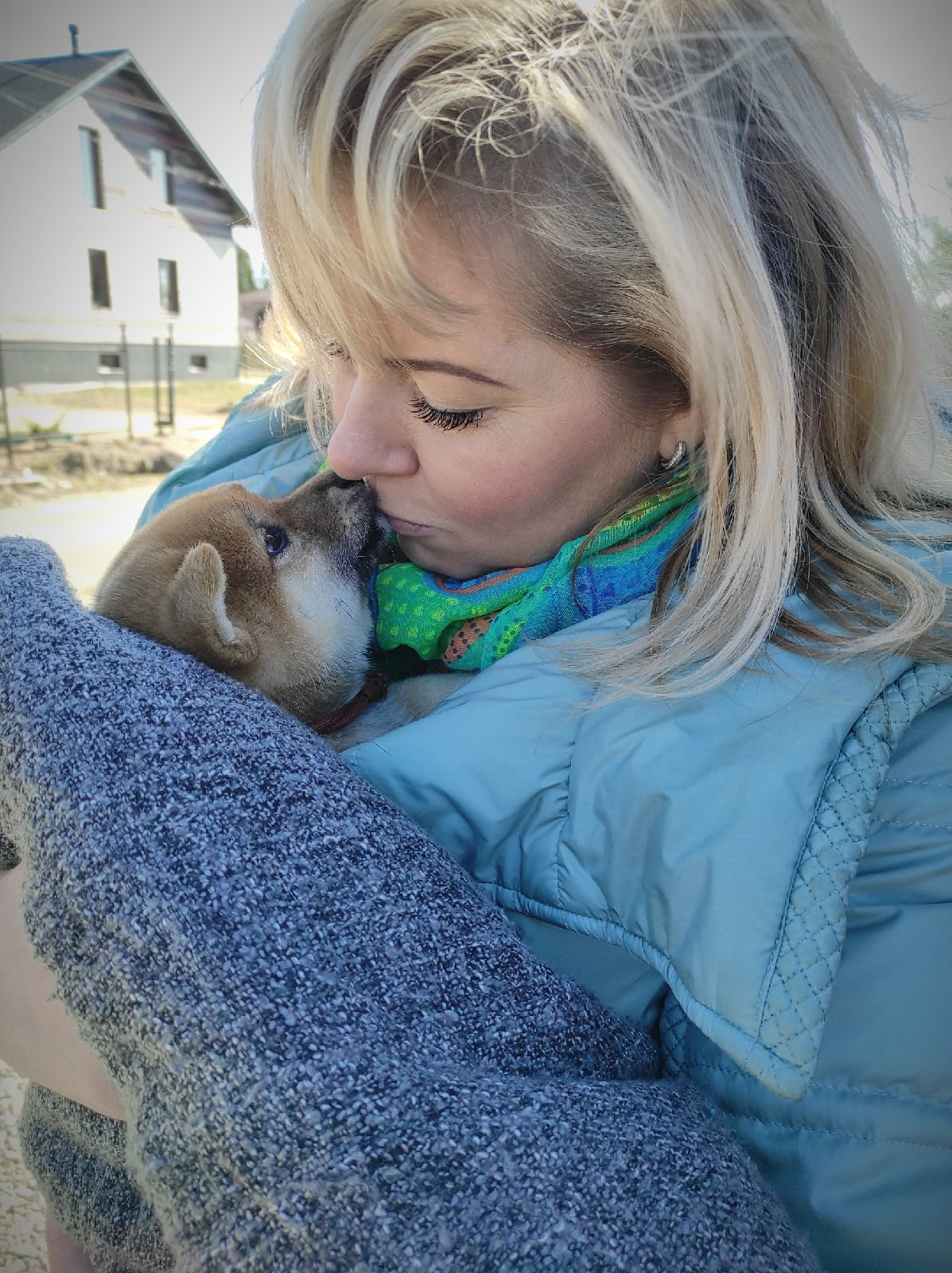 RUBYLIGHT IRON. AMERICAN AKITA RUBYLIGHT KENNEL I SHIBA-INU