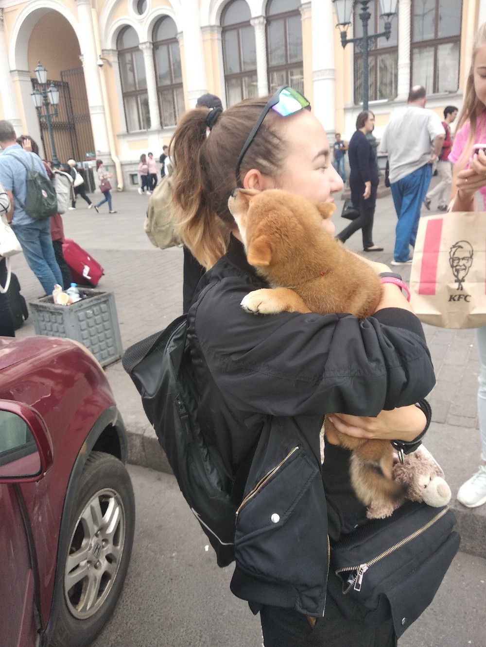 RUBYLIGHT DIN WINCHESTER. AMERICAN AKITA RUBYLIGHT KENNEL I SHIBA-INU