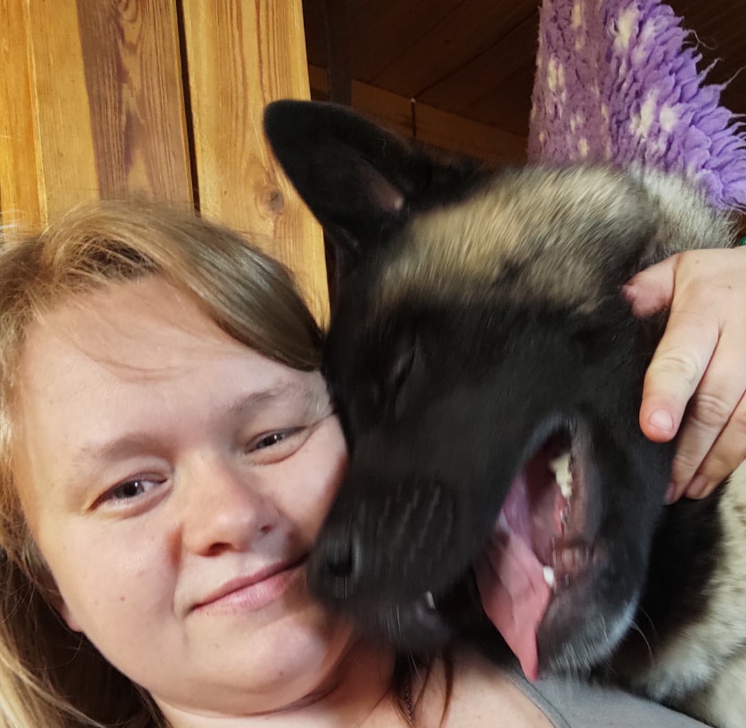 Triumf Sibiri Sting Shape of my Heart * Сэм  (Отец Zar Born To Be Famous Iz Ryzhei Stai , Мать Triumf Sibiri Dreams Come True)  Американская Акита кобель питомник RUBYLIGHT Санкт-Петербург