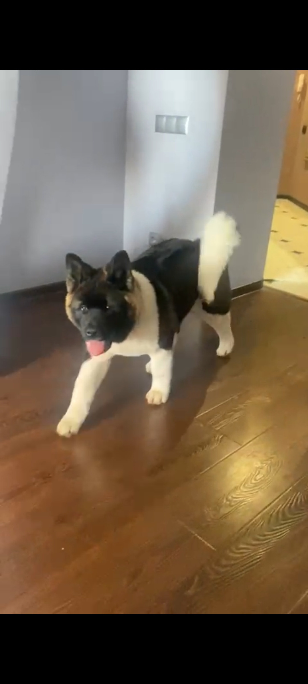 𝐑𝐔𝐁𝐘𝐋𝐈𝐆𝐇𝐓 𝐊𝐀𝐑𝐎𝐋𝐈𝐍𝐀 