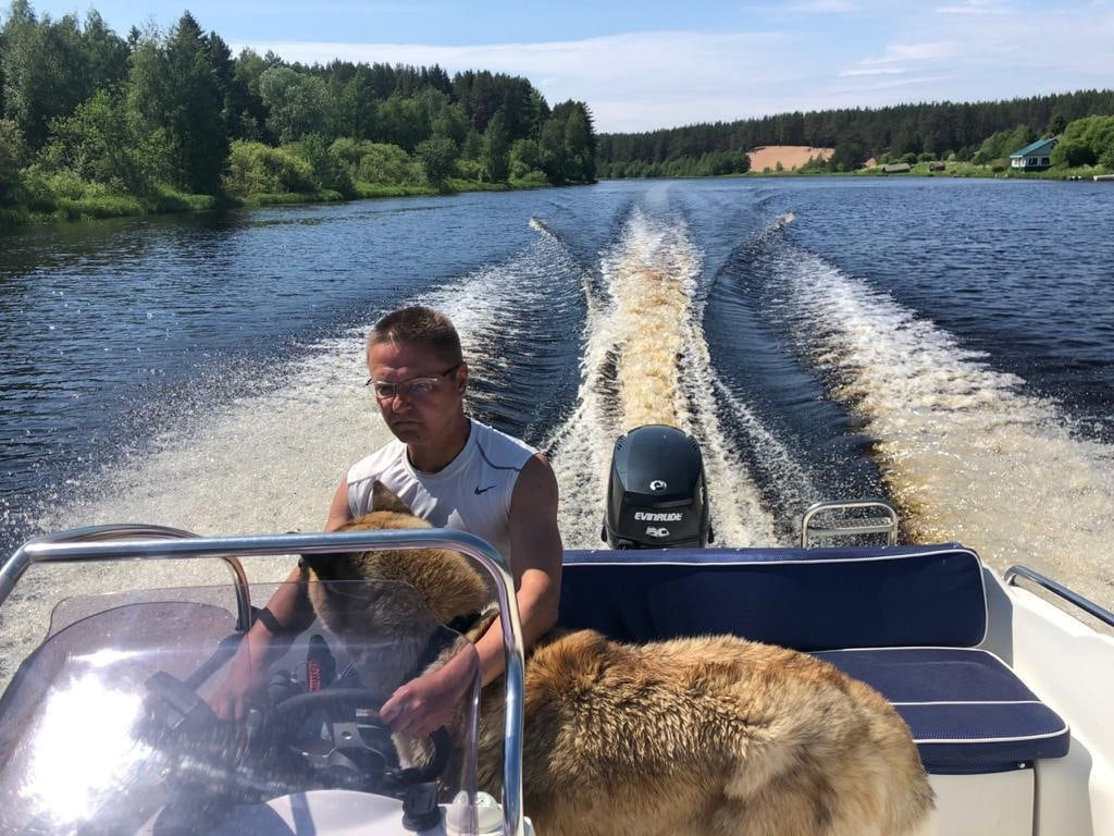 RUBYLIGHT BISHAMON * Тиль. AMERICAN AKITA RUBYLIGHT KENNEL I SHIBA-INU