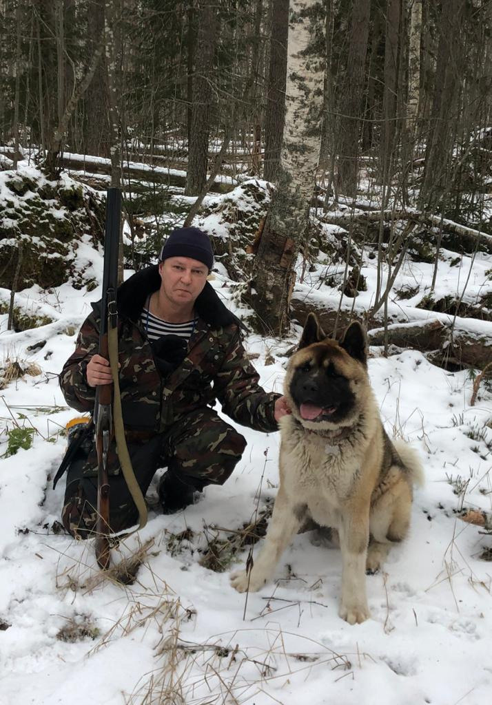 RUBYLIGHT BISHAMON * Тиль. AMERICAN AKITA RUBYLIGHT KENNEL I SHIBA-INU