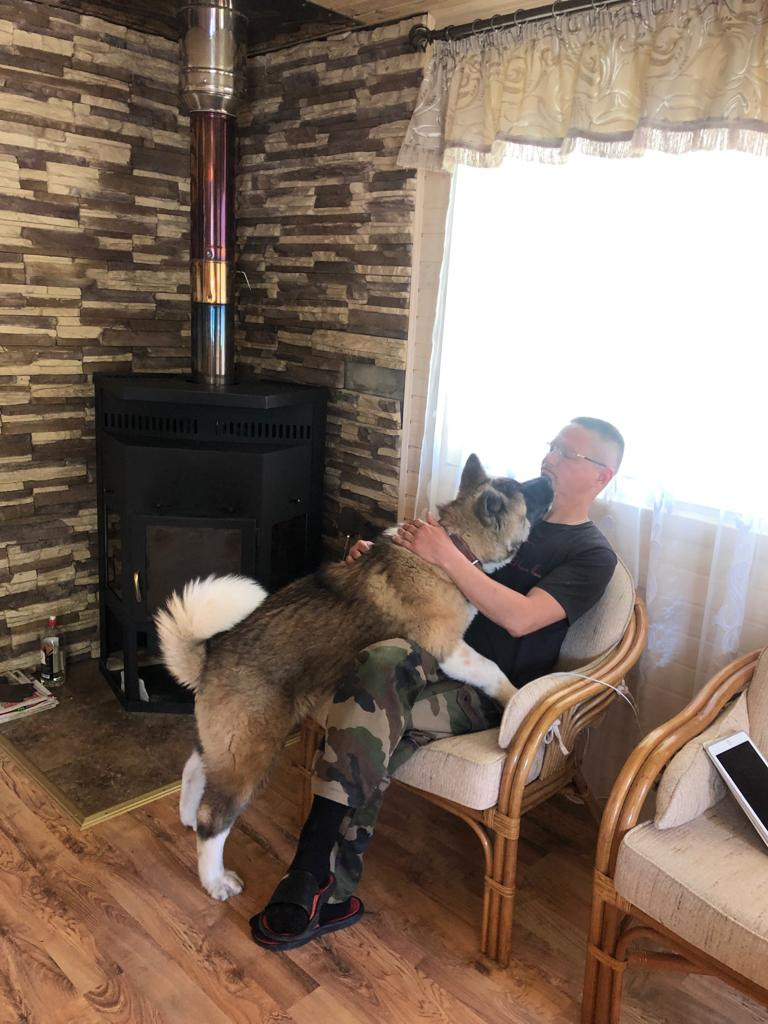 RUBYLIGHT BISHAMON * Тиль. AMERICAN AKITA RUBYLIGHT KENNEL I SHIBA-INU